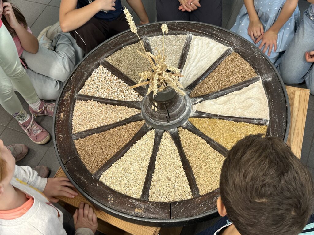 Vom Korn zum Brot – ein spannender Ausflug der Klasse 3